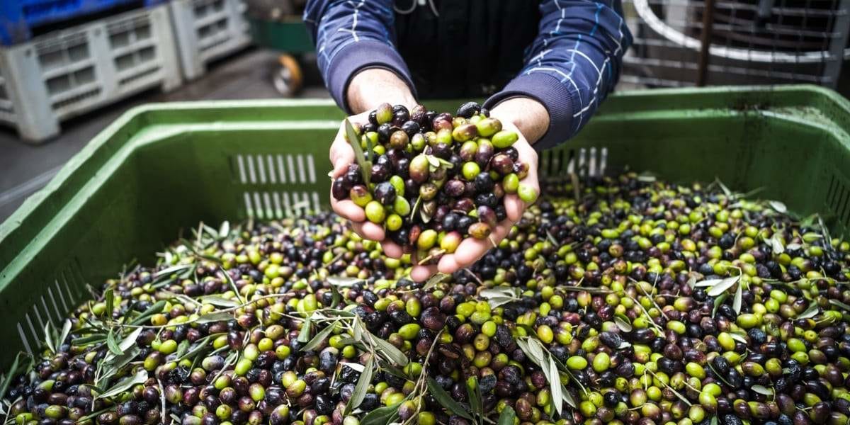 fabriquer de l huile d