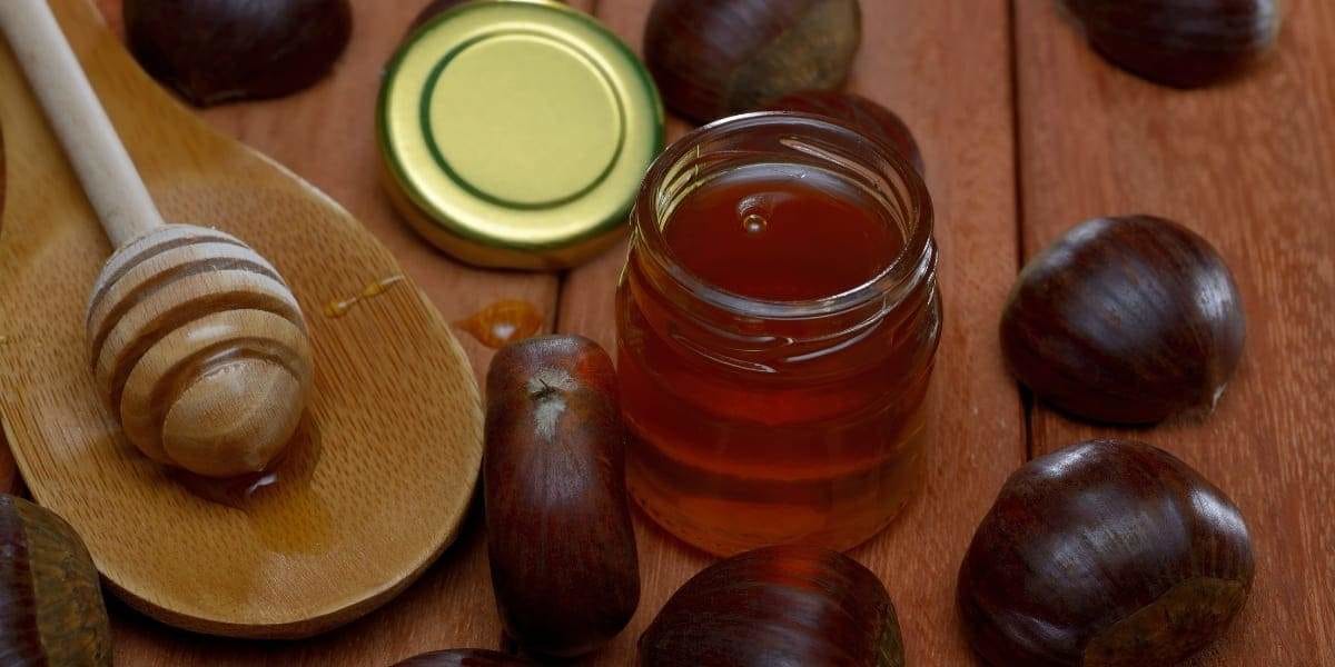 vitamines et miel de châtaignes avec sa cuillère